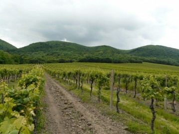 Dolnoorešanský deň turistiky 2013