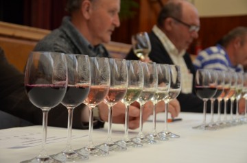 Dolnoorešanský džbánek vínka 2015 odborná degustácia