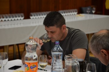 Dolnoorešanský džbánek vínka 2016 odborná degustácia