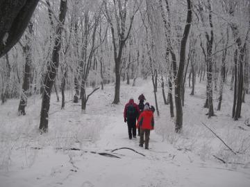 Silvestrovský výstup na Slepý vrch 2010