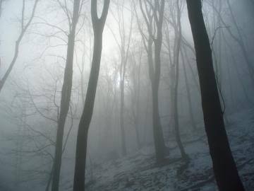 Silvestrovský výstup na Slepý vrch 2012